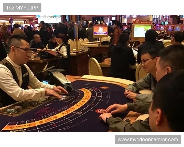 澳门赌场对不同年龄段的限制政策全面解读,未成年人进入的法律风险与处罚措施 澳门赌场对不同年龄段的限制政策全面解读,未成年人进入的法律风险与处罚措施